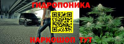 гашик Изобильный