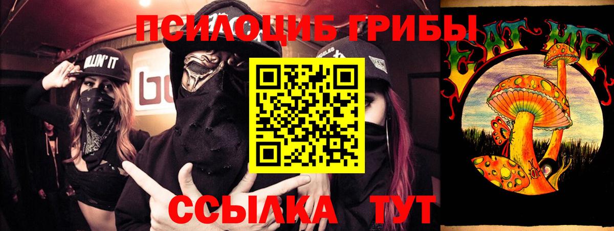 что такое   Вход с VPN  Электрогорск  Псилоцибиновые грибы мухоморы 